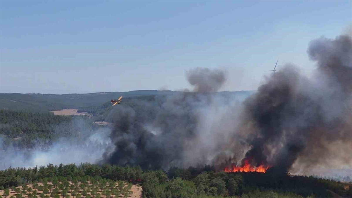 Çanakkale'de alevler dinmiyor! Orman yangınına müdahale sürüyor