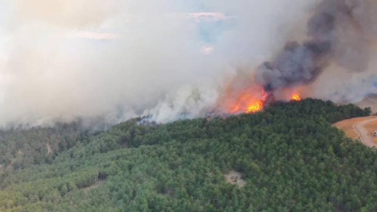 Bolu Mudurnu’da orman yangını: 1 tutuklama