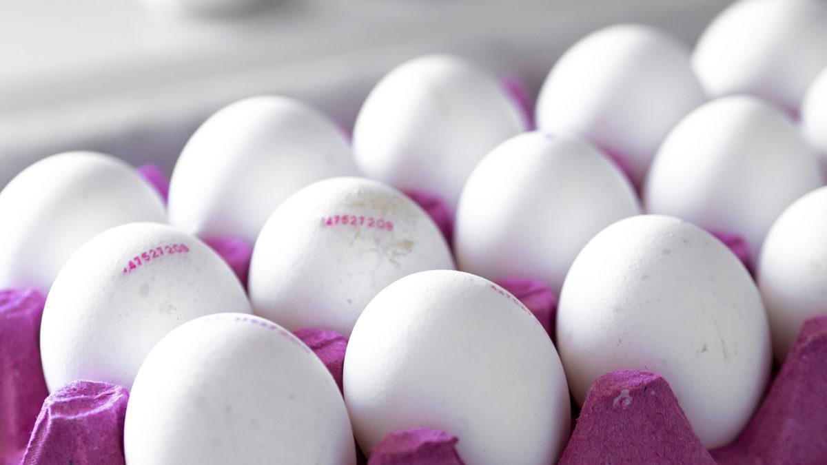 Mutfaktaki kabusa son! Telefonunuzun ışığıyla bozuk yumurtayı saniyeler içinde tespit edin: İşte viral olan yöntem