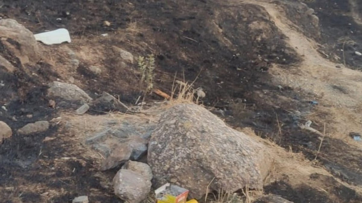 Maltepe'de havai fişekle yangın çıkaran zanlı tutuklandı: ​​​​​Havai fişekleri merak ettiğim için yaktım