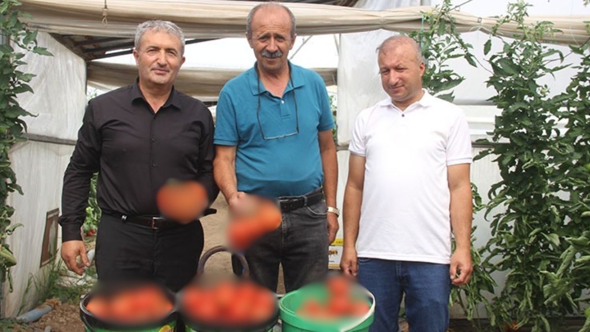 Antalya’da gördü Sivas’taki köyüne kurdu! Kuyumculuktan daha çok kazandırıyor: 125 ton üretim yapıyor