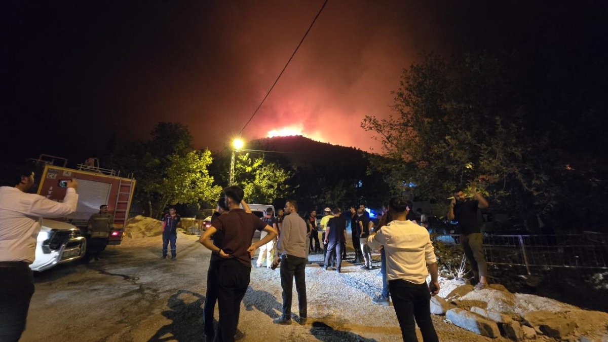 Hatay'da orman yangını: 2 mahalle tahliye edildi