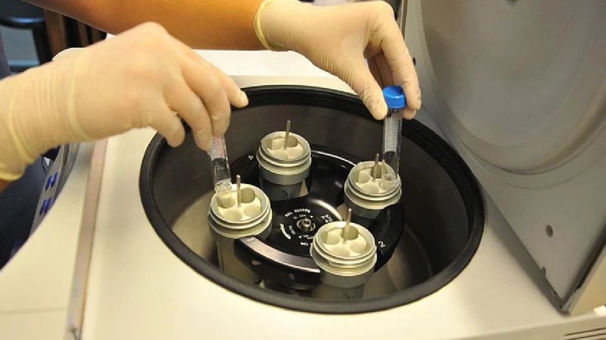 Silikon Vadisi’nde “en zeki bebek” yarışı: Genetik testlere 50 bin dolar!