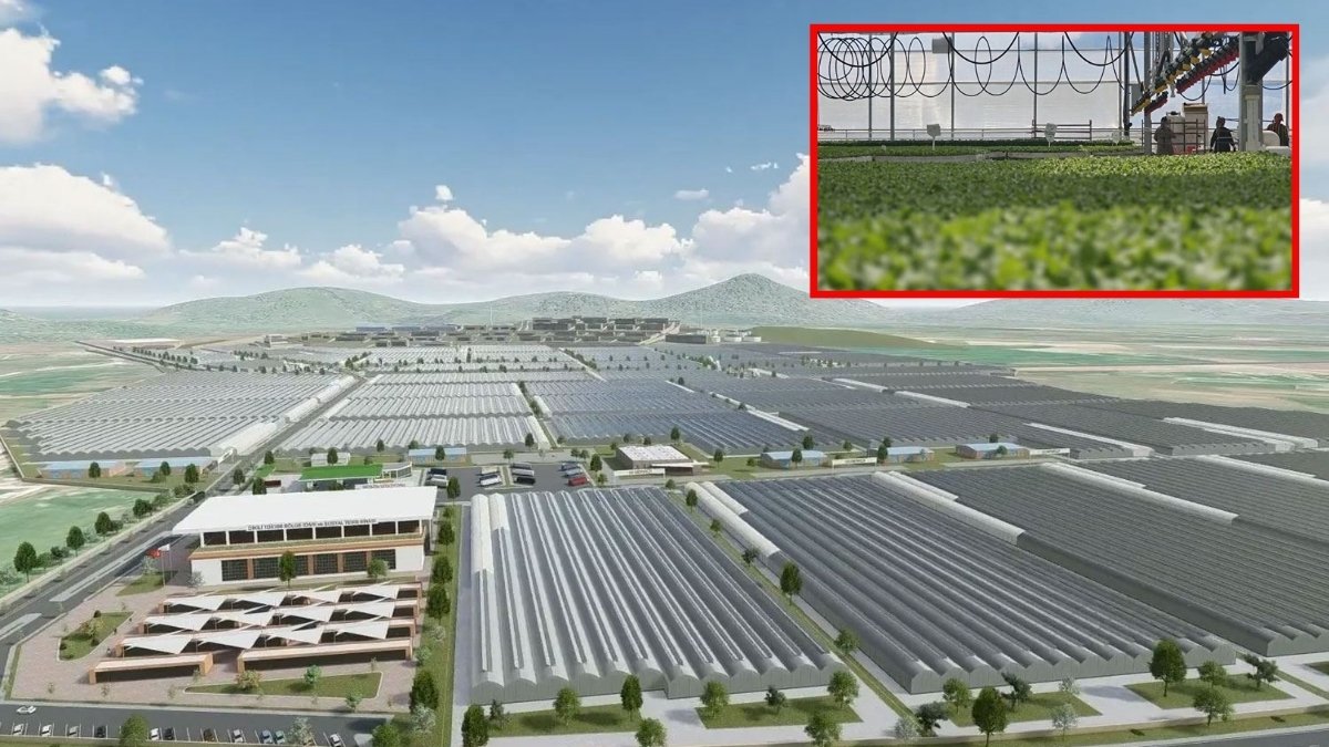 İstihdam ve üretim için dev adım! Batman’a 3 milyar liralık yatırım: 30 bin ton üretim yapılacak, ekonomiye katkı sağlayacak