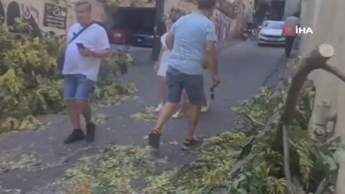 Beyoğlu’nda şiddetli rüzgar nedeniyle ağaç yola devrildi