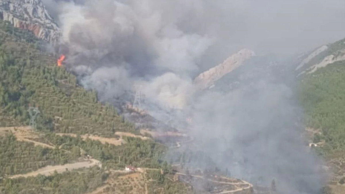 Mersin'de bir orman yangını daha