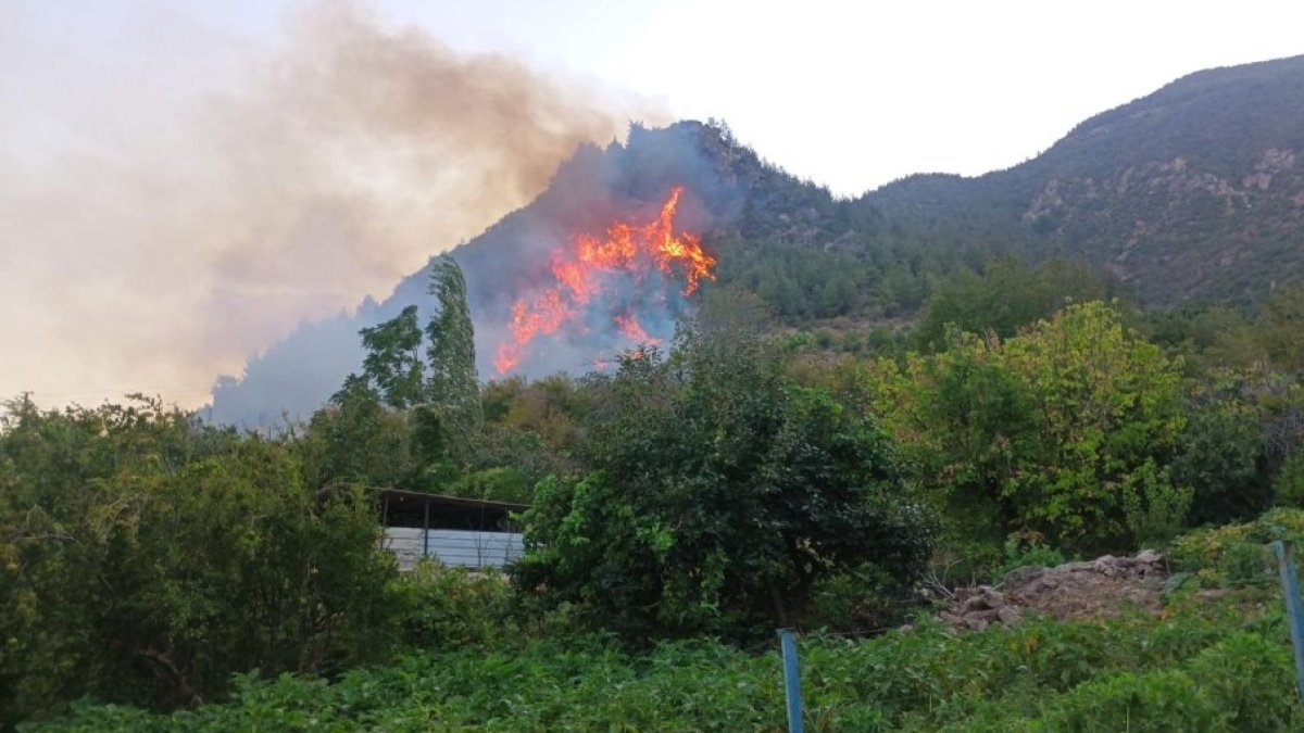 Hatay Kırıkhan'da orman yangını: Havadan ve karadan müdahale ediliyor