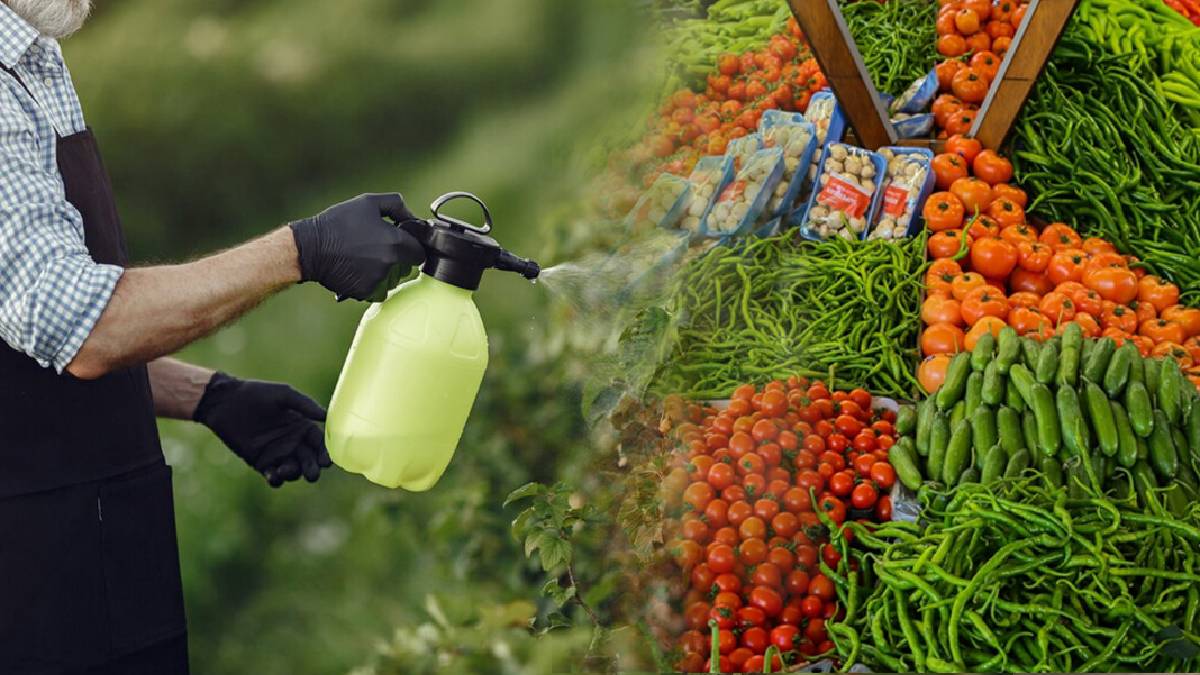 Her gün tüketiyoruz, meğer en temiz onlarmış! Pestisit zehrinden uzak sebze ve meyveler: Bu 4’ü tamamen doğal