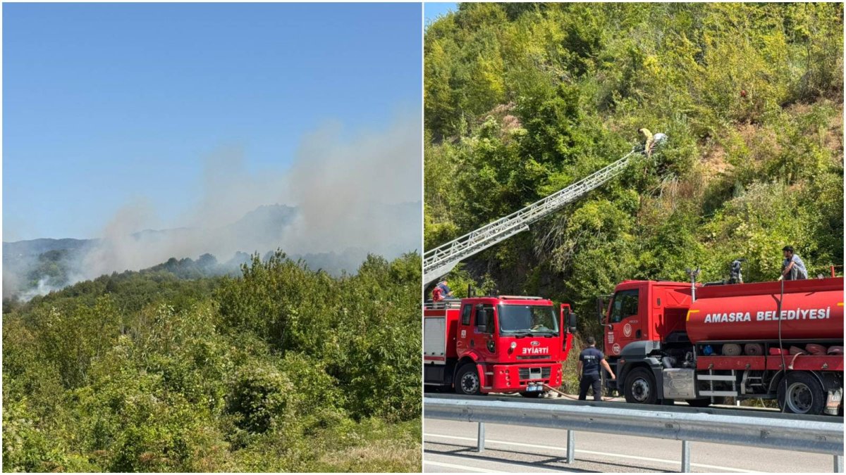 Bartın'da orman yangını: Ekipler müdahale ediyor