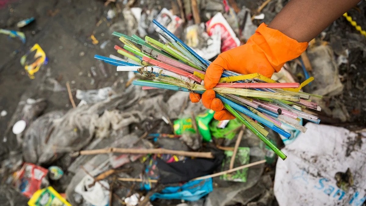 Türkiye'de Tek Kullanımlık Plastiklere Veda: 3 Aşamalı Çözüm Haritası