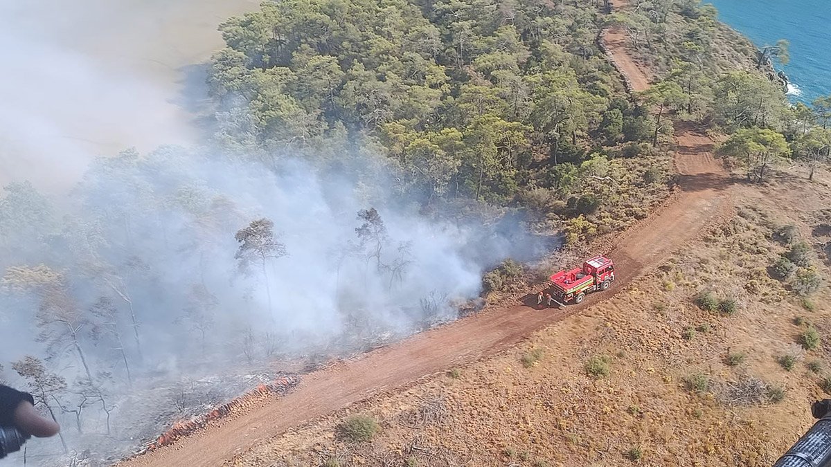 Fethiye'de orman yangını