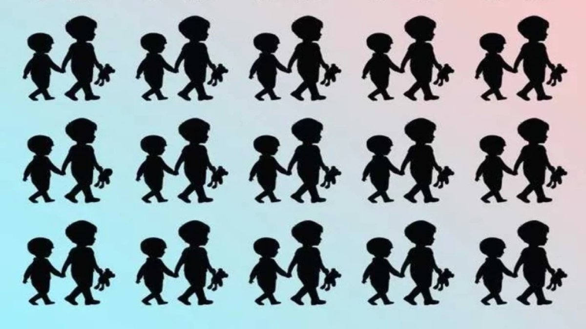 Bu siluetler arasındaki farkı çok az kişi görebiliyor! Siz kaç saniyede bulacaksınız?