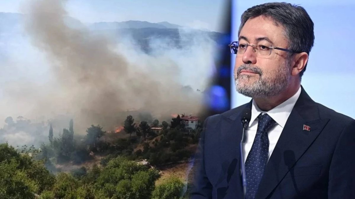 Yangınlardan etkilenen bölgelere av yasağı geliyor