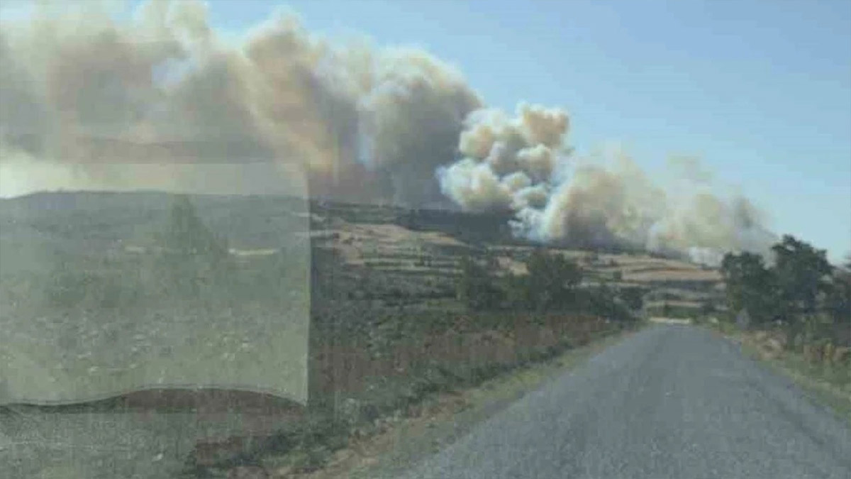 Gelibolu'da orman yangını