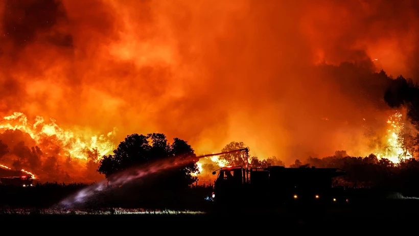 Orman yangınlarında tahribat 3 katına çıktı: 2025’te 80 bin hektar küle döndü