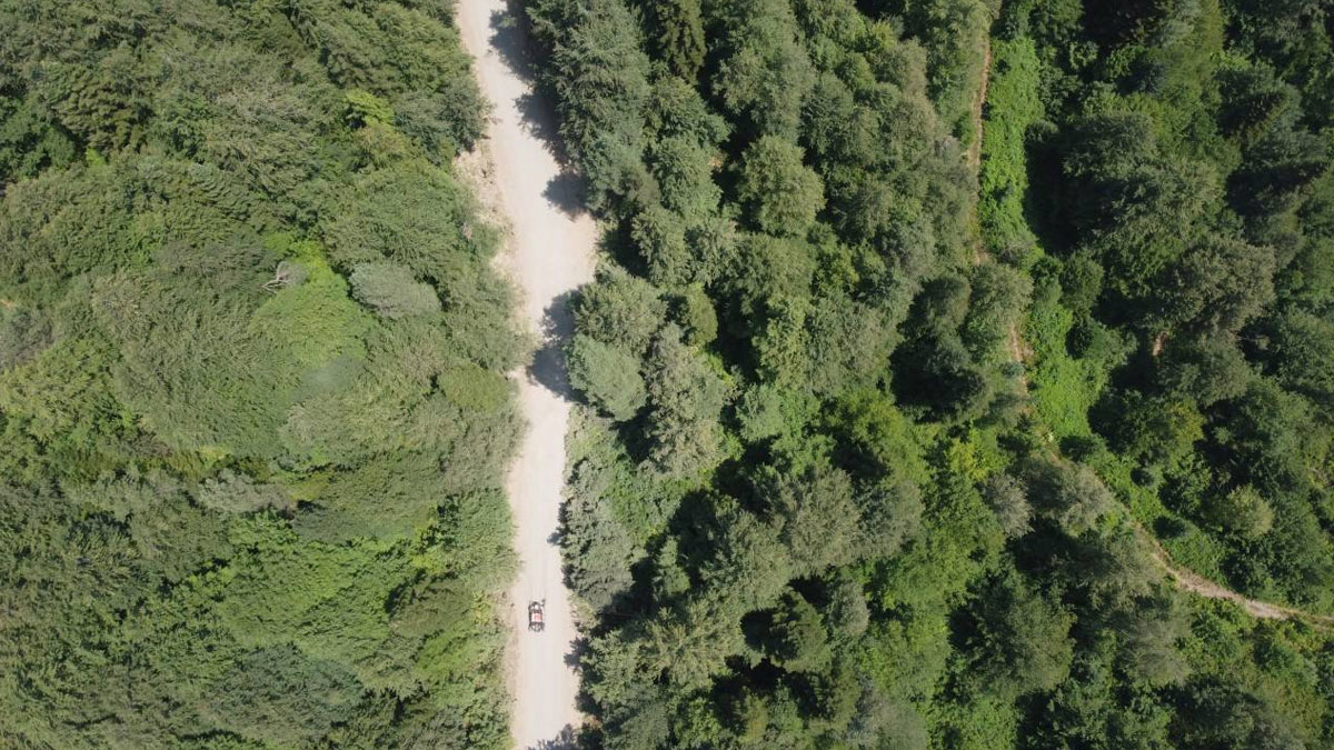 Ormana tek imzayla son: 1 milyon metrekare daha gözden çıkarıldı