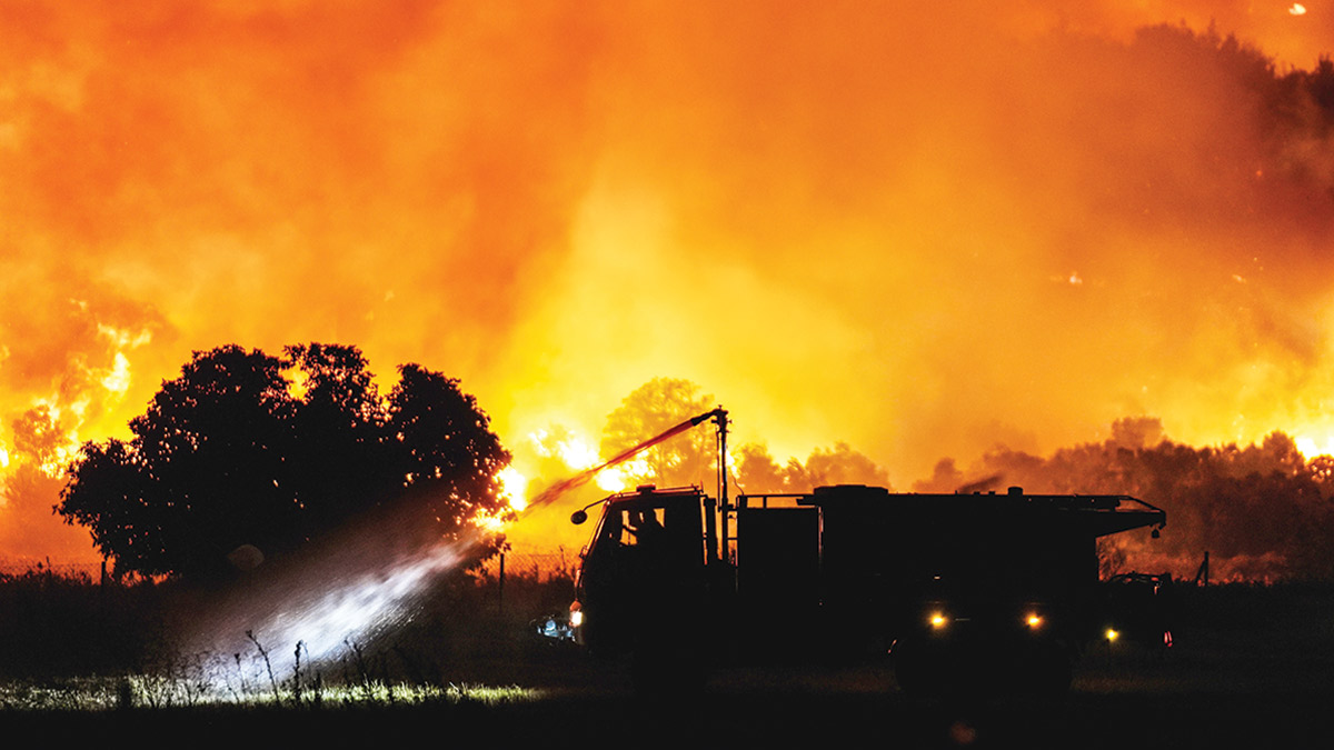 Bin dönüm orman daha arsa oldu