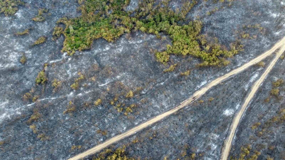 Gelibolu küle döndü: Acı tablo havadan görüntülendi