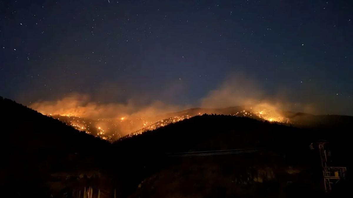 Arılarını sakinleştirmek isterken 80 hektarlık ormanı yaktı