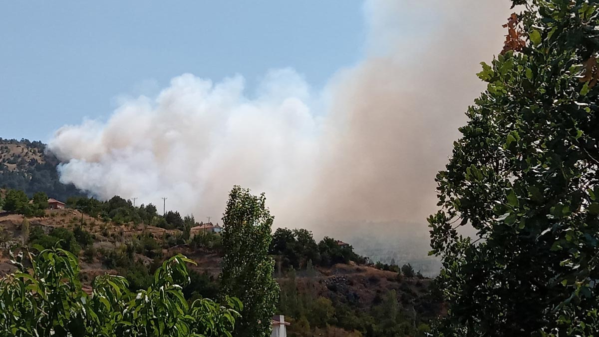 Çorum'da orman yangını