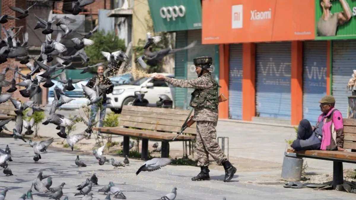 Hindistan'da güvercin beslemek yasaklandı