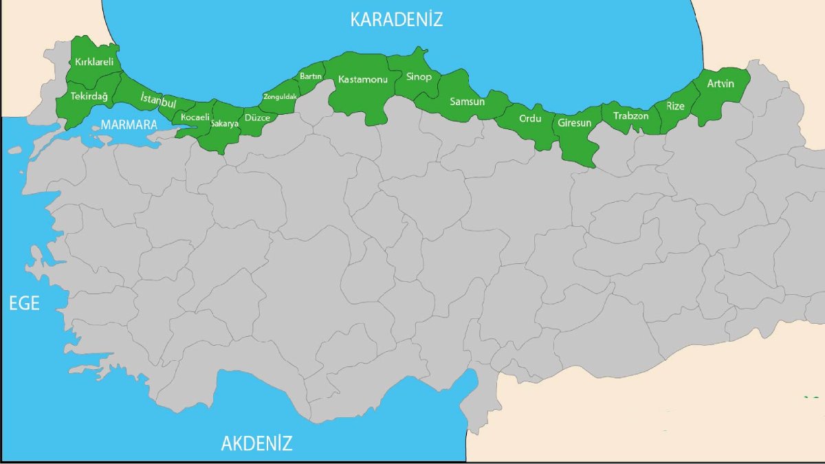 Profesör Mikdat Kadıoğlu uyardı! Bin kat daha hızlandı: Kıyı kesimlerde tehlikeli boyutlara ulaştı!