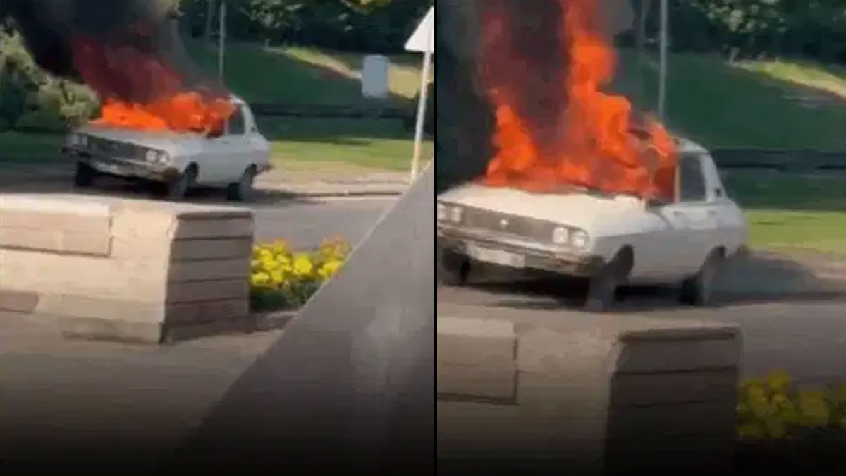 Komisyon öncesi TBMM önünde 'Beyaz Toros' eylemi: 1 kişi gözaltında