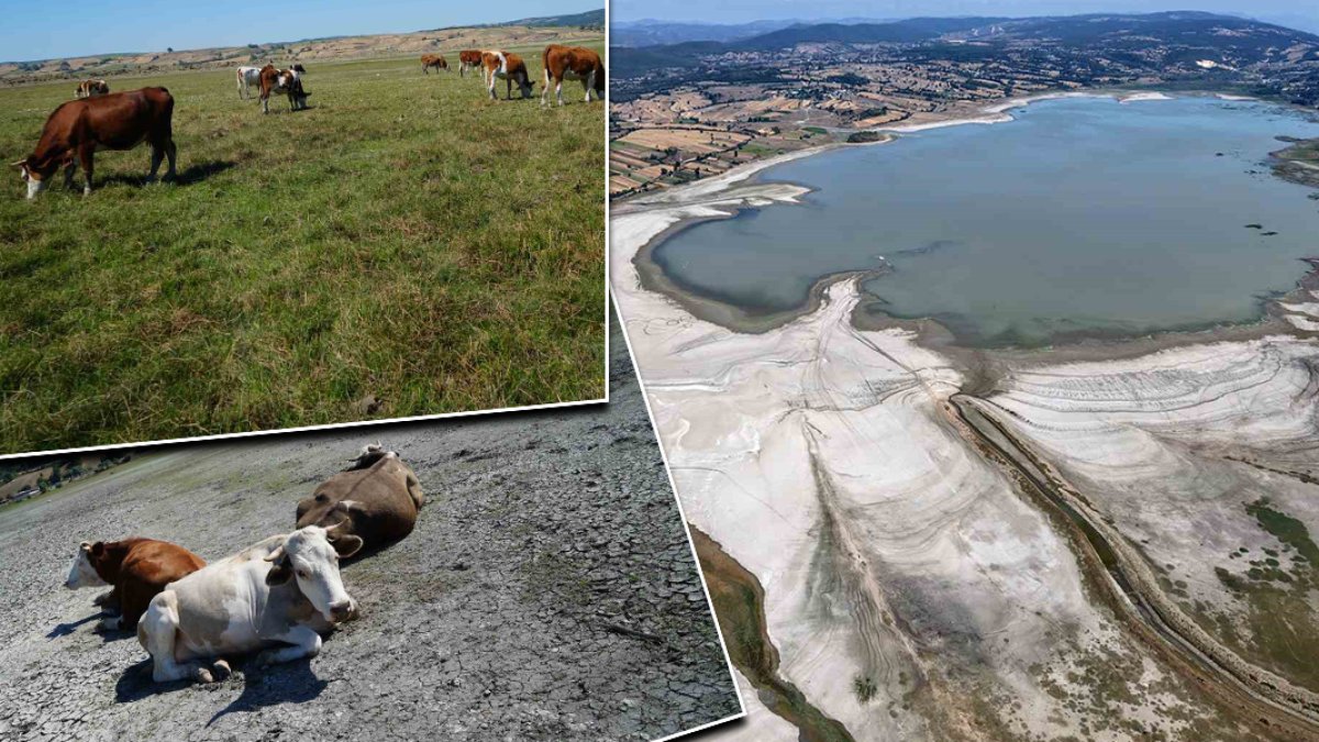 Ladik Gölü'nde su seviyesi kritik eşiğin altında