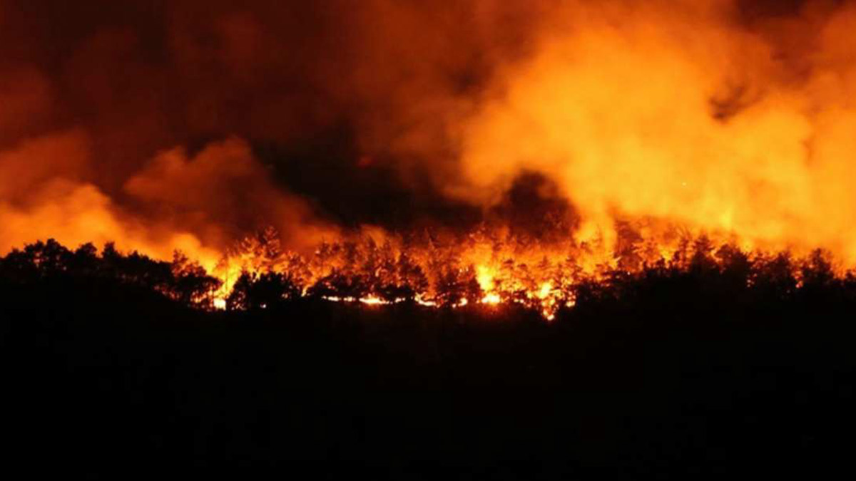 Define ararken ormanı yakan 5 sanığın 18'er yıla kadar hapsi istendi