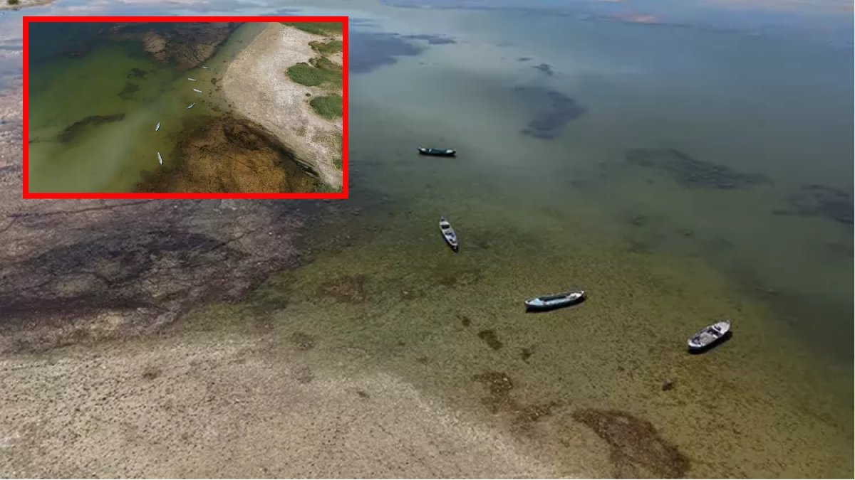 İklim değişikliği Beyşehir Gölü’nü resmen kuruttu! Uzmanlar acı tabloyu açıkladı: “Şu anda ölmüş vaziyettedir”