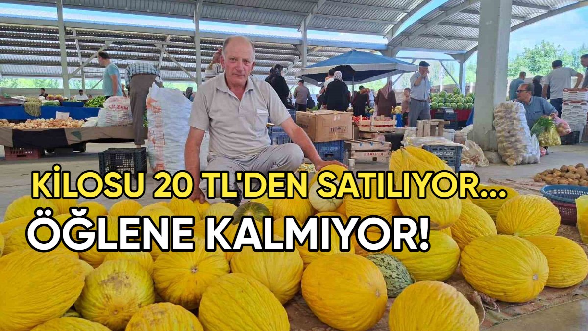 Hisarcık pazarında yerli kavun heyecanı: Kilosu 20 TL'den satışa çıktı, öğlene kalmıyor