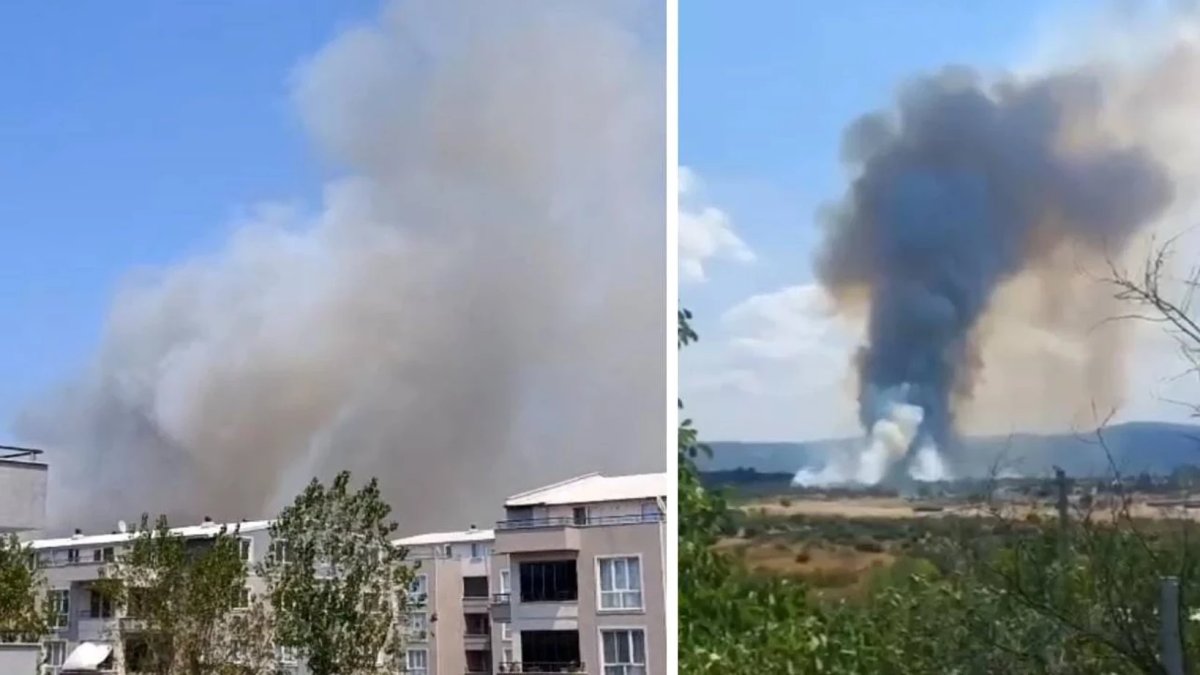 Bursa'da orman yangını: Karadan ve havadan müdahale ediliyor