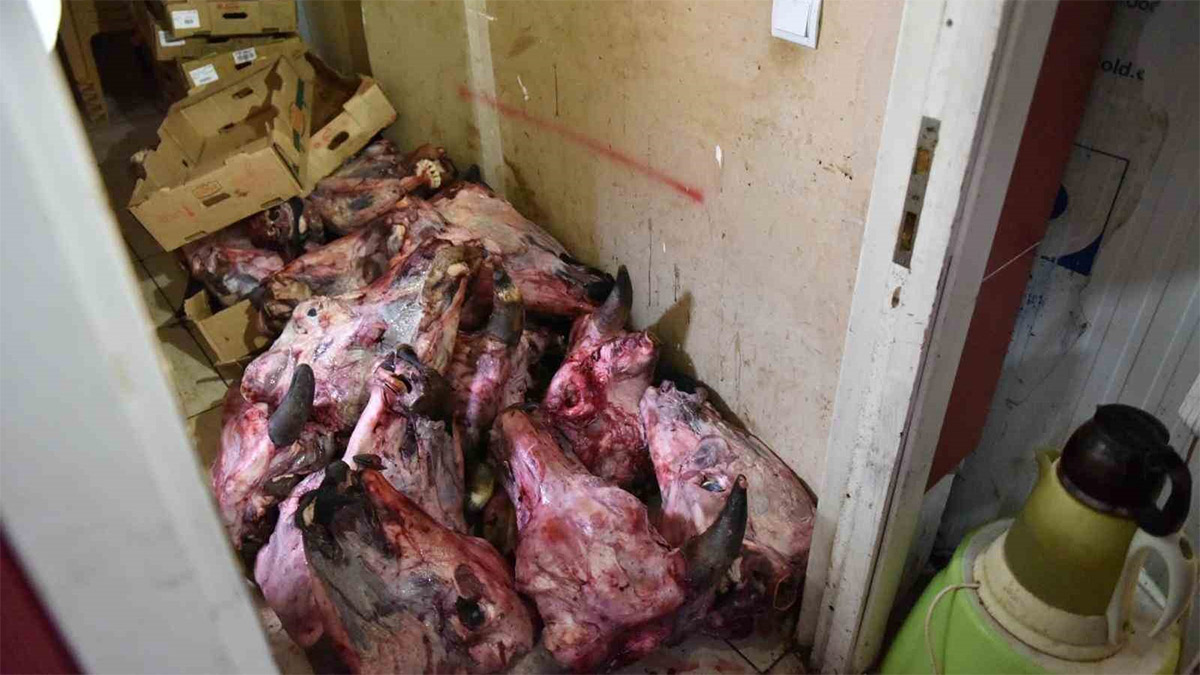 Market denetiminde skandal! Yumurtadan hamam böceği, depodan bozuk et çıktı