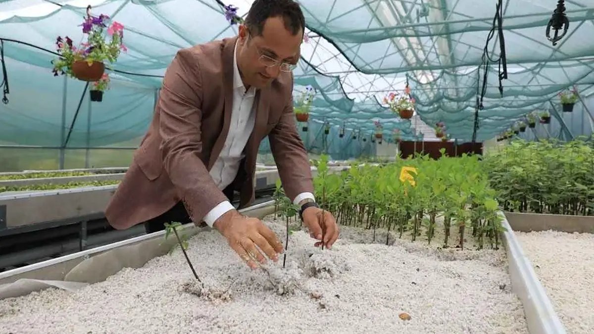 4 ay boyunca araştırıldı, sonuçlar herkesi şaşırttı! Diyabet hastalarının kurtarıcısı: Kan şekerini dengeliyor