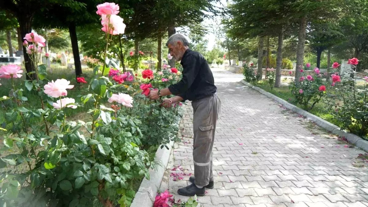 Canlılarla değil, ölülere arkadaşlık yapıyor! 19 yıldır çalışıyor, her yeri çiçek bahçesine çeviriyor!