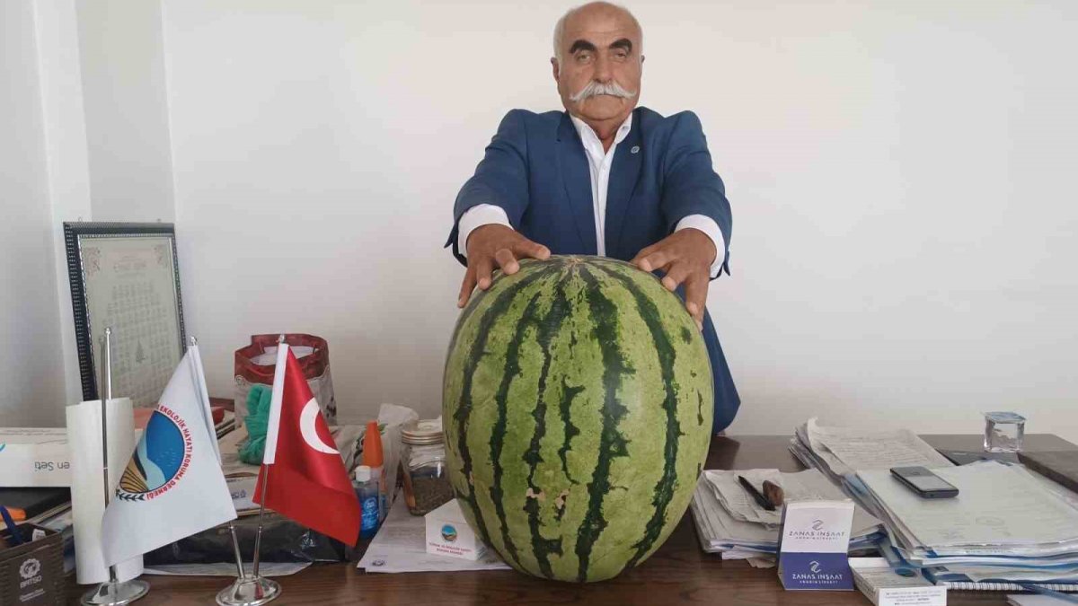 Batman Ovası'ndan rekor çıktı: Tam 45 kiloluk dev karpuz görenleri şaşkına çevirdi!