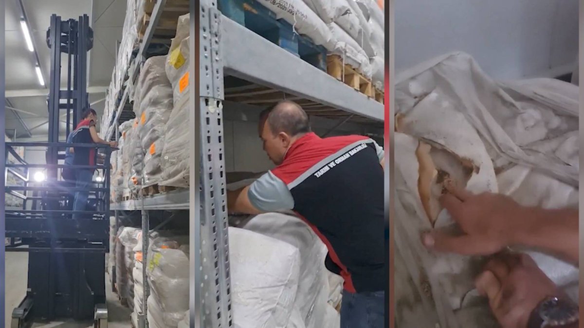 İzmir’de 2 bin ton süt ürününe el konuldu: Soruşturma başlatıldı