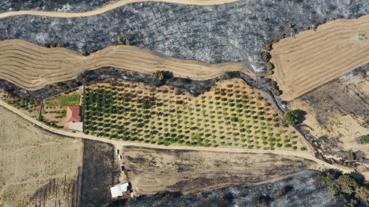 Gelibolu Yangınını Durduran Bakım: Çiftçinin Emekleri Alevleri Teğet Geçti