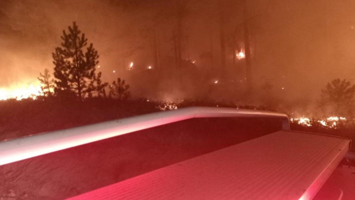 Muğla'da orman yangını: Yatağan'da alevlere müdahale sürüyor