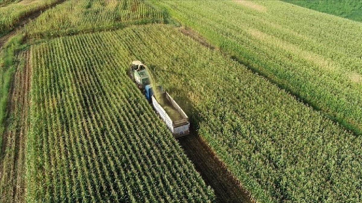 Temmuzda başladı! Tarım sayım seferberliğine çiftçiden yoğun ilgi: 450 binden fazla kayıt yapıldı