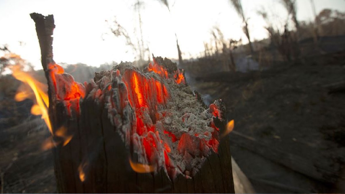 Bolivya’da yangınlarla mücadele için ‘Ulusal Acil Durum’ ilan edildi