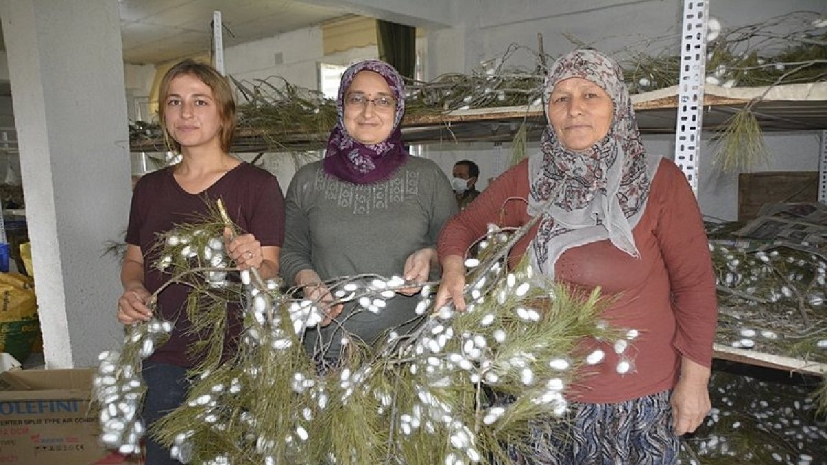 İnternetten gördü ben de yaparım dedi! Anne kız işleri büyüttü: Kilolarca üretiyor, 2 bin TL’den satışa çıkarıyor