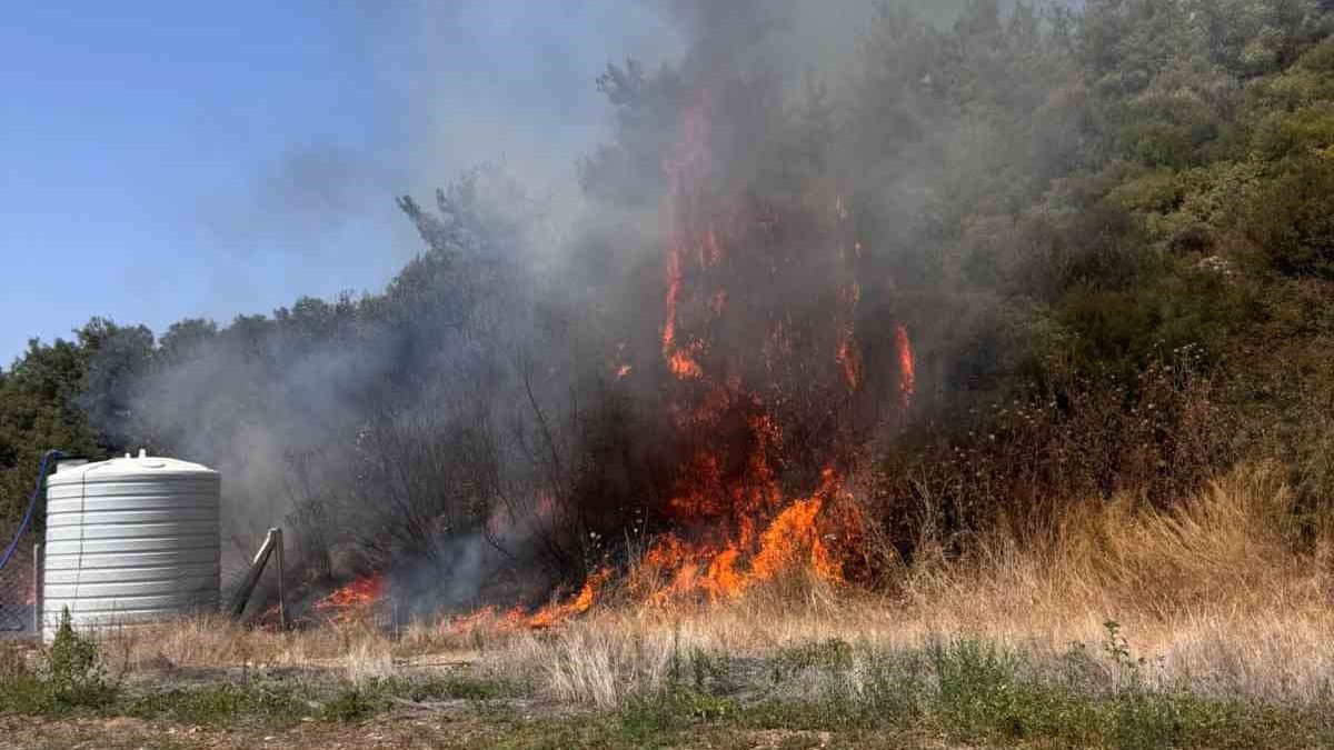 İzmir Menderes’te orman yangını