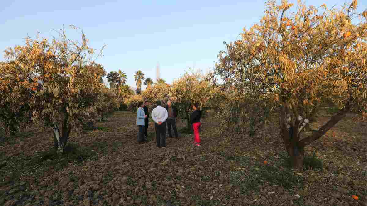 O ilimizde çiftçilik alarm veriyor: Her dört üreticiden biri mesleği bırakmayı düşünüyor