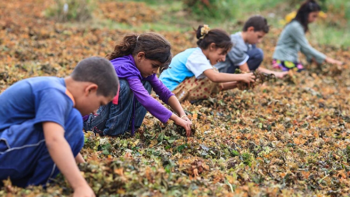 Türkiye’de çocuk yoksulluğu arttı: 171 bin çocuk risk altında