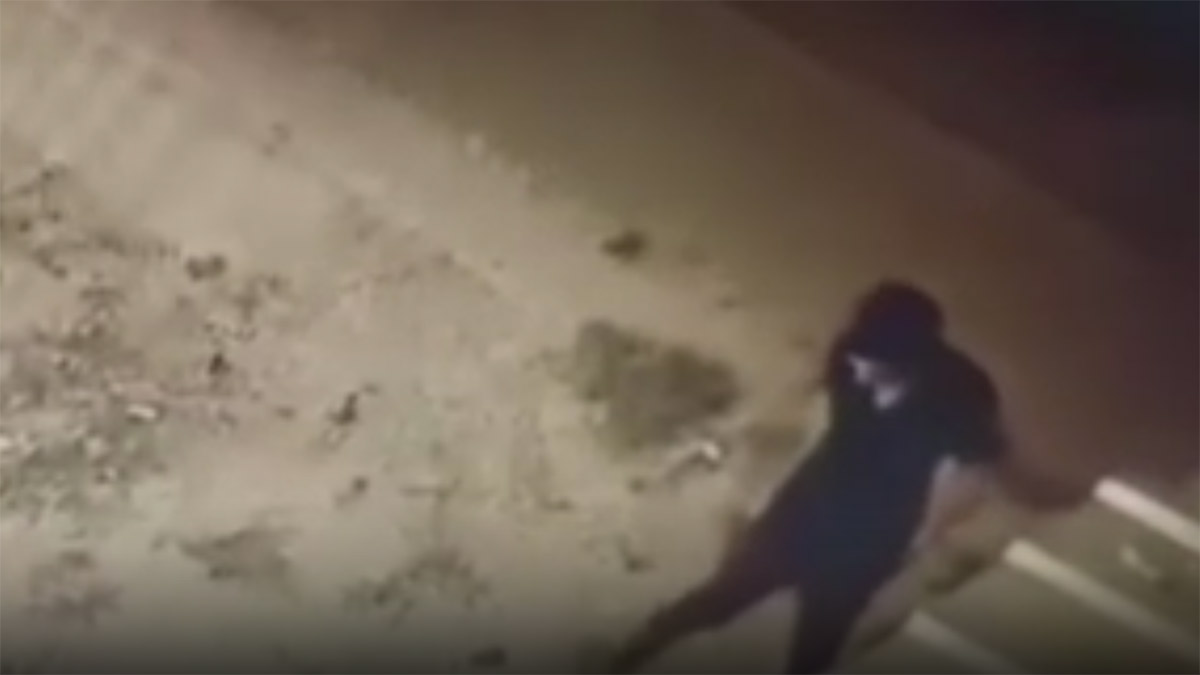 Bu nasıl vicdan! Köpeğe şiddet anları kamerada