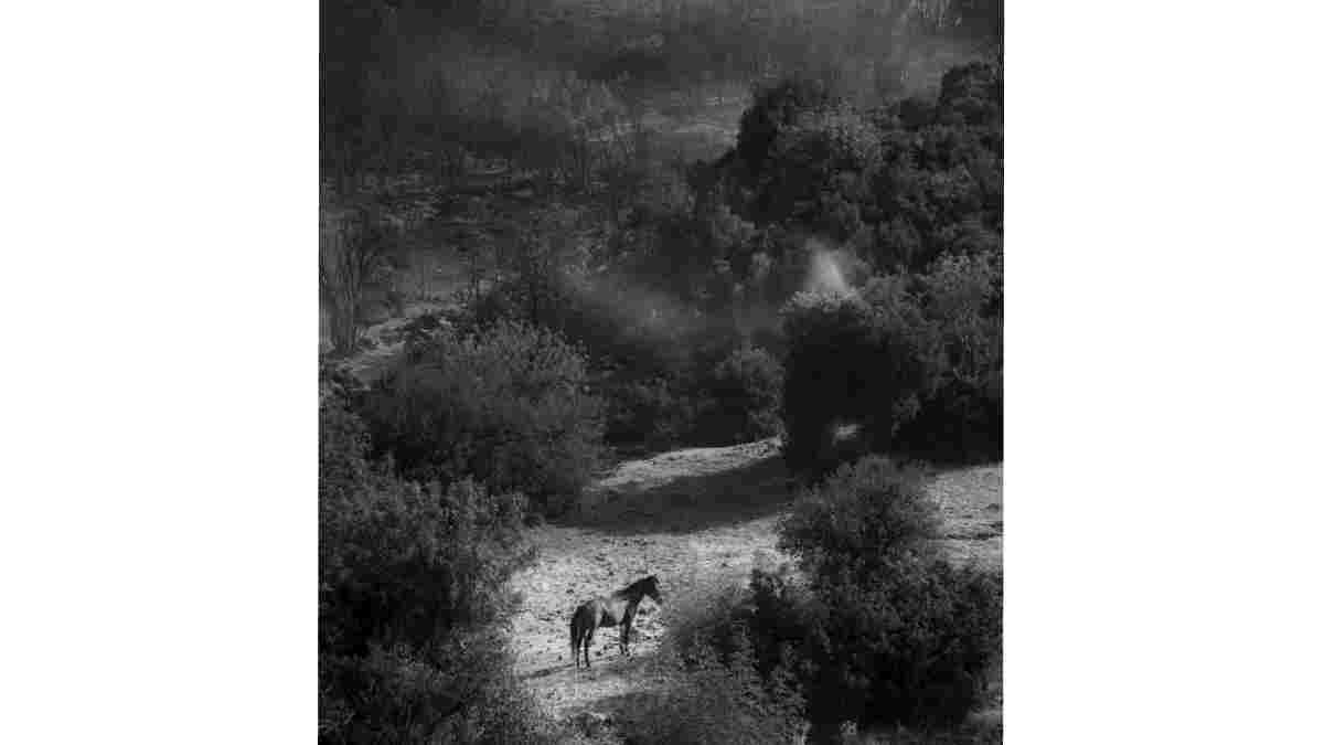 İzmir İtfaiyesi Aliağa’daki yangına müdahale ediyor