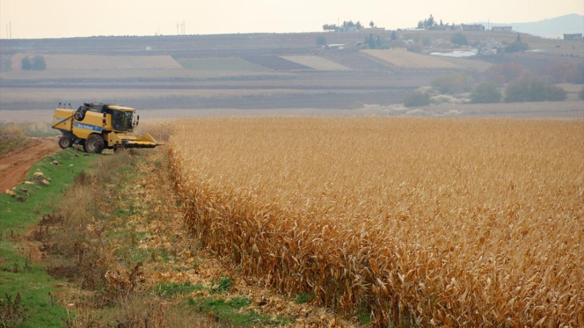 Bu karar cebinizi yakacak! Mısır ve pancar üreticileri isyanda: Türkiye'de enerji fiyatları yeniden yükselişe geçebilir