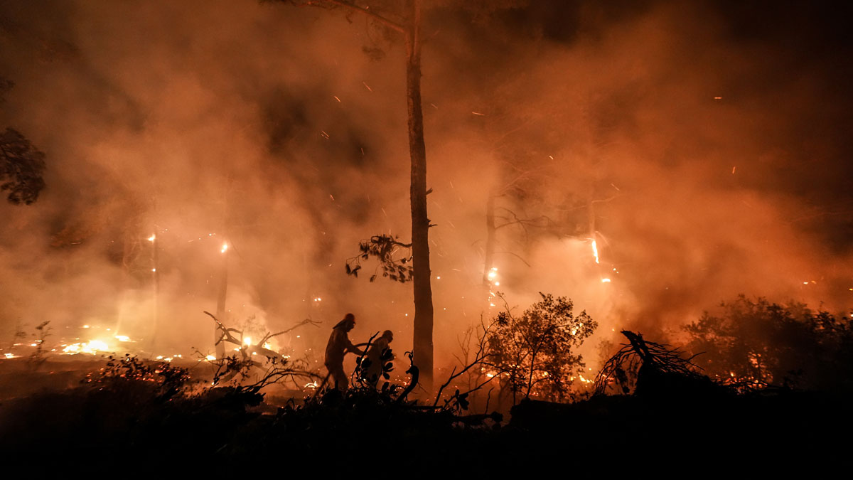 Orman Genel Müdürlüğü'nden Çanakkale'deki yangına ilişkin açıklama