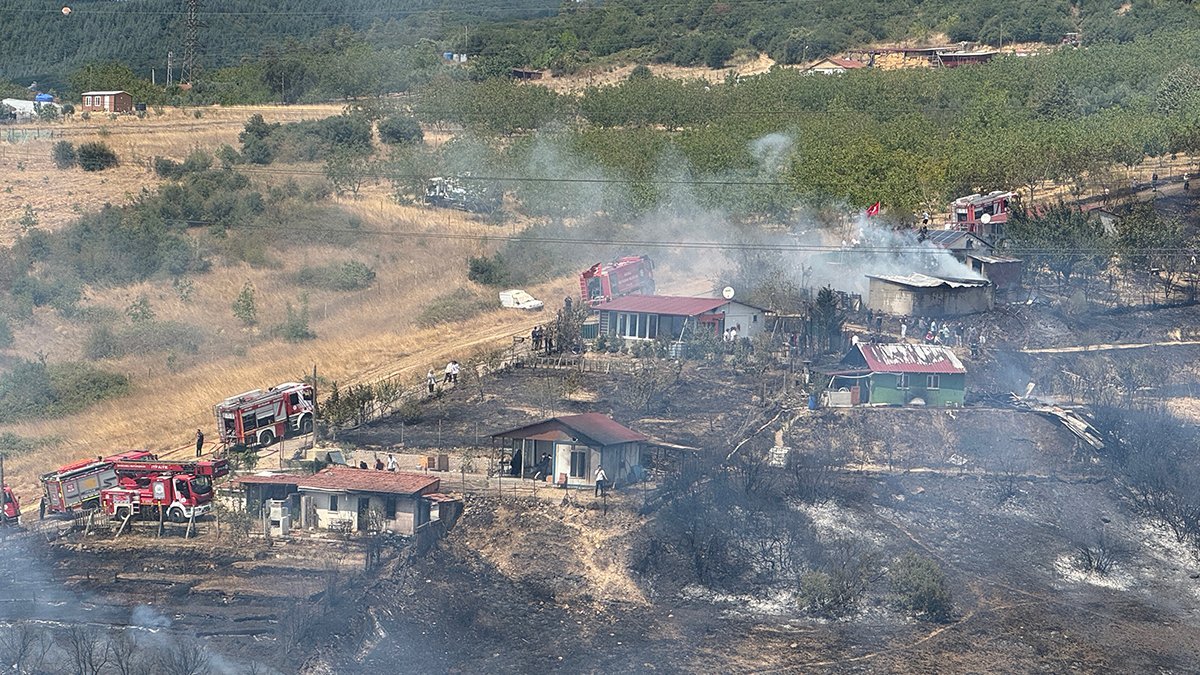 Kocaeli'de orman yangını: Alevler evlere sıçradı